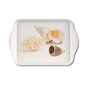  Jason Shells Scatter Tray