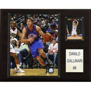  NBA Danilo Gallinari New York Knicks Player Plaque Sports 