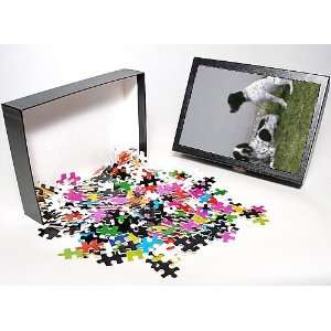   Puzzle of dog braque dauvergne from Animal Photography Toys & Games