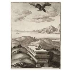   14 x 10cm) Wenceslaus Hollar   The eagle and the daw