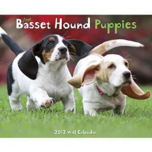  Just Basset Hound Puppies 2012 Wall Calendar Office 