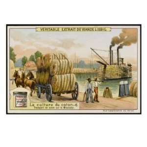  Transporting Bales of Cotton on Steamboats on the 