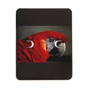  iPad 5 in 1 Case Matte Black Scarlet Macaw   Bird 