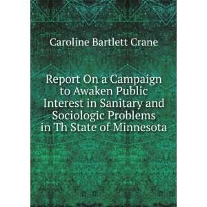   Problems in Th State of Minnesota Caroline Bartlett Crane Books