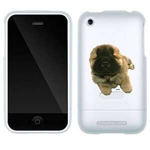  Chow Chow Puppy on AT&T iPhone 3G/3GS Case by Coveroo 