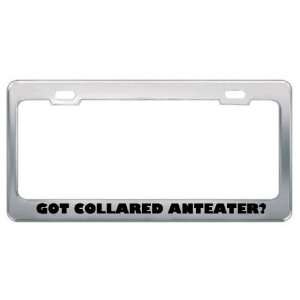 Got Collared Anteater? Animals Pets Metal License Plate Frame Holder 