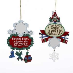  Pack of 12 Ski Club Snowflake Plaque Christmas Ornaments 