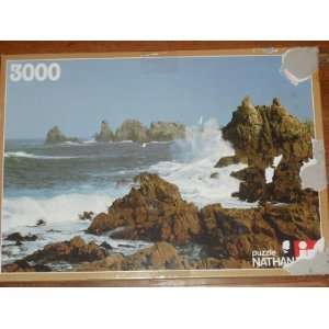    Rocky Coast / Ouessant / Finistere 3000 Piece Puzzle Toys & Games