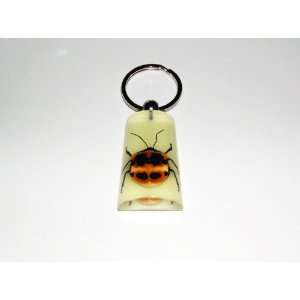  Glow in the dark Real Insect Keychain   Shield Bug (YK1004 