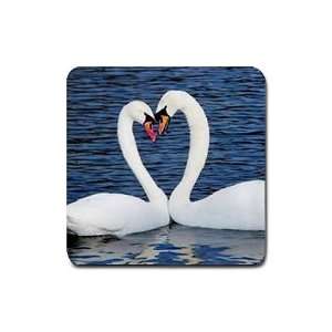 Swans Rubber Square Coaster (4 pack) 