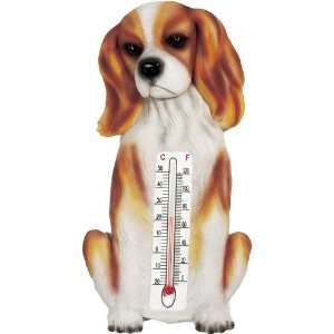  Cavalier King Charles Thermom   Thermometer