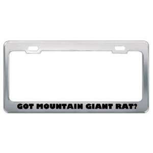 Got Mountain Giant Rat? Animals Pets Metal License Plate Frame Holder 