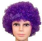 Purple Afro Disco Halloween Fancy Dress Costume Party Wig