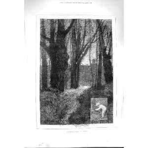  1880 OCTOBER SCENE TREES FOREST MONTBARD FINE ART