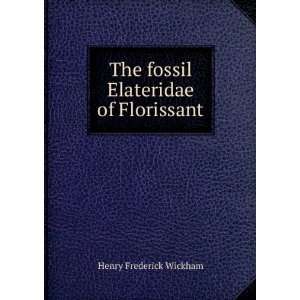    The fossil Elateridae of Florissant Henry Frederick Wickham Books