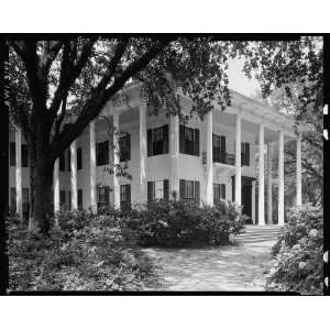   ,1906 Springhill Ave.,Mobile,Mobile County,Alabama