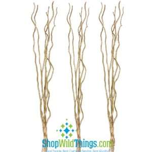 Twig Bunch 48 Gold Glitter   3 Bunches Mitsumata Natural Branches 