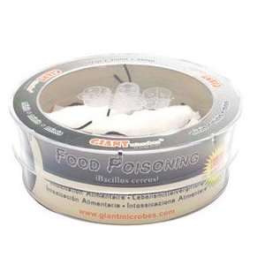  Food Poisoning (Bacillus cereus)   Petri Dish (3 mini microbes 