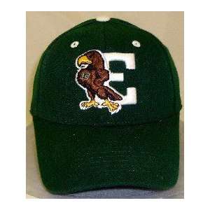  Eastern Michigan Hurons Wool Team Color One Fit Hat 