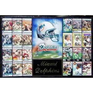  MIAMI DOLPHINS 16x 24 Team History Plaque Sports 