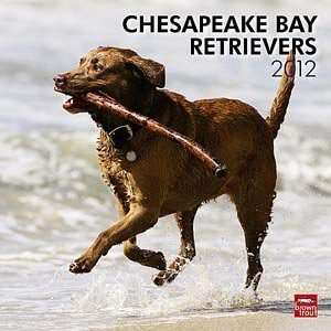  2012 Chesapeake Bay Retrievers Calendar