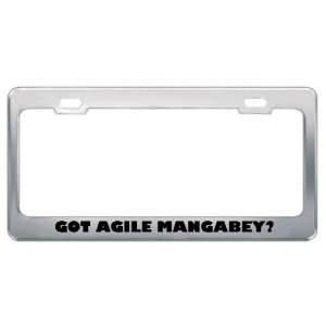  Got Agile Mangabey? Animals Pets Metal License Plate Frame 