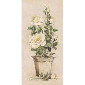  Shades of Roses ll, Fine Art Canvas Transfer by Barbara 