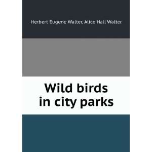  Wild Birds in City Parks Being Hints On Identifying 200 Birds 