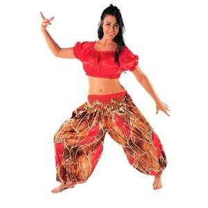 Belly Dancer Satin Harempants Top Costume Set  Simply Sateen