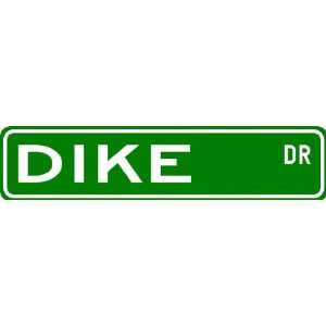  DIKE Street Sign ~ Personalized Family Lastname Sign 