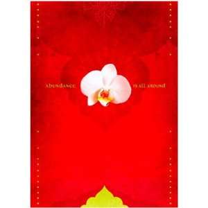 Tree Free Greeting Cards Rare Beauty (pack of 6) 