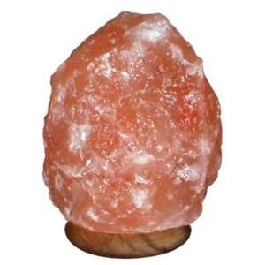   Crystal Salt Lamps 7 10 Lbs with Free Cord and Bulb