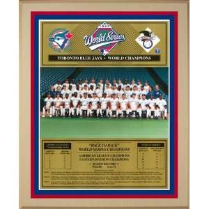   Jays Large Healy Plaque   1993 World Series Champs