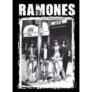  Ramones at CBGB Fabric Music Poster Print