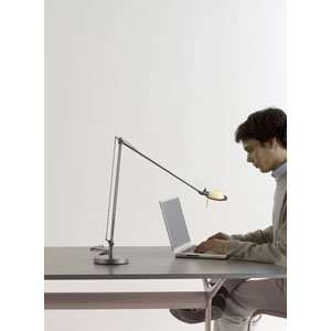 Luceplan Berenice Table Lamp Small by Alberto Meda and Paolo Rizzatto 
