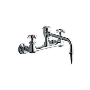VBE7WSLCP Chrome Laboratory Wall Mounted Laboratory Faucet with Swing 