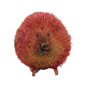 Red Coconut Porcupine 4x6 Grocery & Gourmet Food