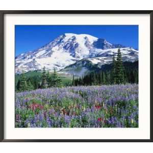  Wildflowers, Mt. Rainier National Park, WA Photos To Go 