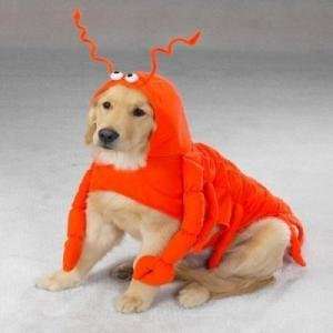  Lobster Dog Costume