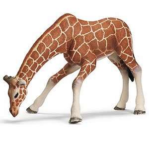 Schleich Wild Life Giraffe Female, Drinking Toys & Games