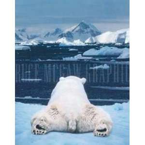  Art Wolfe   Dream of a Polar Bear NO LONGER IN PRINT 