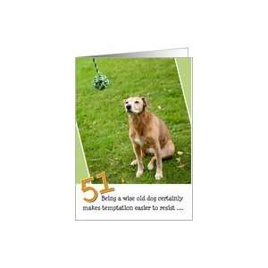   Birthday Card   Humorous Old Dog Resists Temptation Card Toys & Games