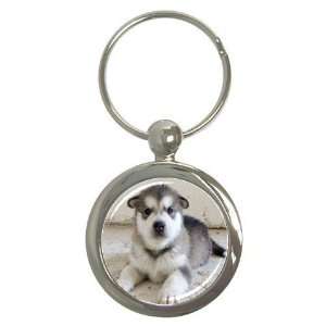  Alaskan Malamute Puppy Dog Round Key Chain AA0007 