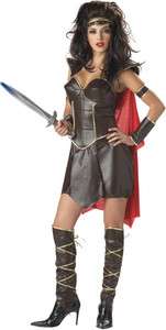 Womens Warrior Princess Deluxe Halloween Costume Sm  