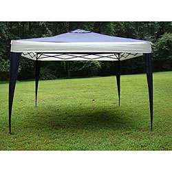 ProGarden Polyester Top/Steel Frame Canopy Tent (10 x 10 