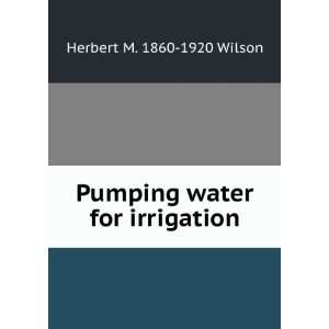  Pumping water for irrigation Herbert M. 1860 1920 Wilson Books