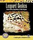   Geckos by Gerold Merker, Julie Bergman and Tom Mazorlig (2006