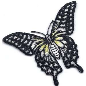   Butterflies  Black & White Butterfly Iron On Applique 