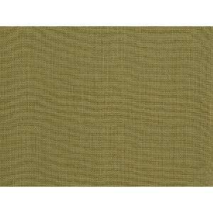  1520 Dixon in Kiwi by Pindler Fabric Arts, Crafts 