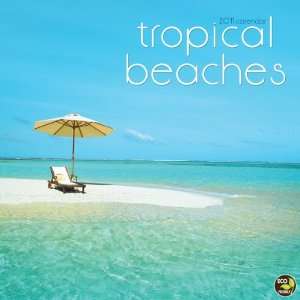  Tropical Beaches 2011 Mini Calendar (9781604937664) TF 